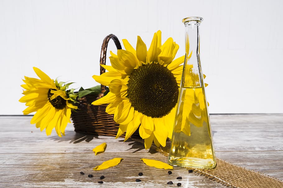 Sunflower oil: healthy or harmful?